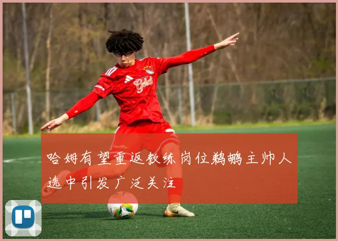 哈姆有望重返教练岗位鹈鹕主帅人选中引发广泛关注