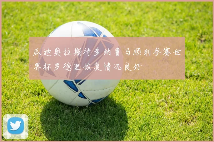 瓜迪奥拉期待多纳鲁马顺利参赛世界杯罗德里恢复情况良好