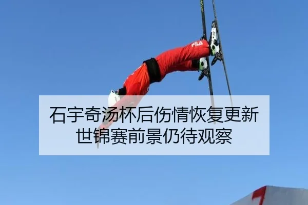 石宇奇汤杯后伤情恢复更新 世锦赛前景仍待观察（EMCSPORTS）